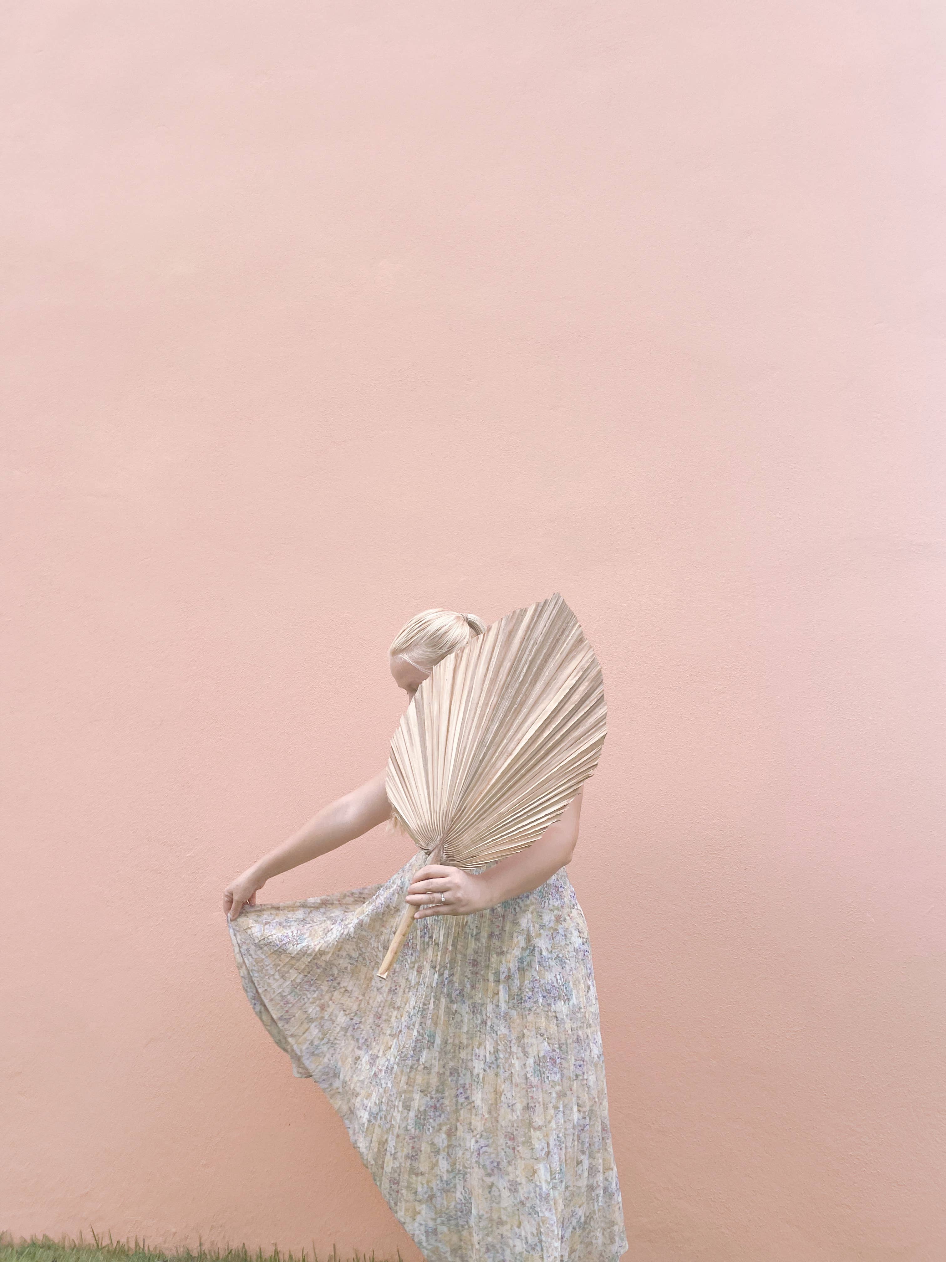 The Blooming Palm – wholesale Decal – Party decorations – Palm Leaves, Large Dried Trimmed Organic Tropical Dried Fan17