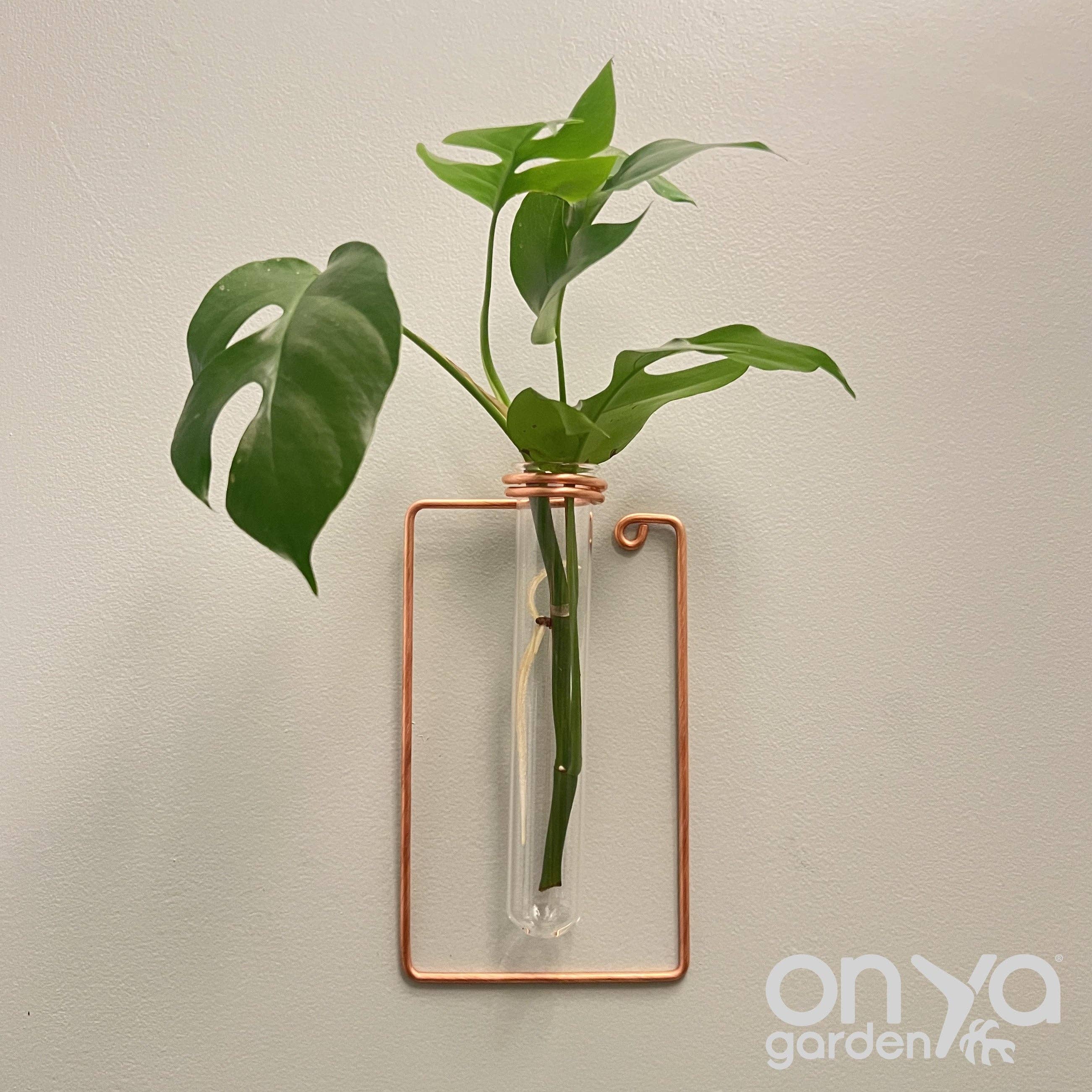On Ya Garden - Wholesale Hanging Planter - Copper Rectangle Propagation Wall Vase, Hanging Propagation Station1
