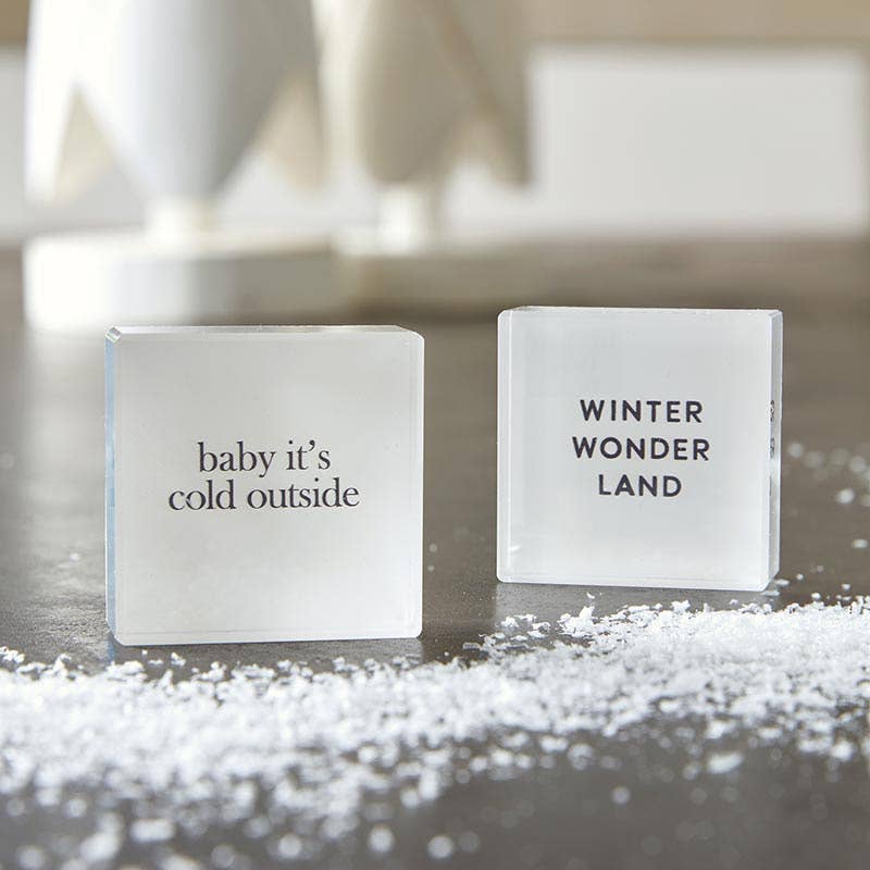 Santa Barbara Design Studio by Creative Brands - Wholesale Decorative Tabletop Object - Face To Face Lucite Block - Baby, It's Cold Outside1