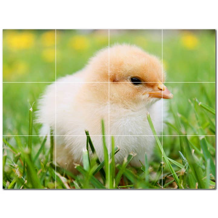 Carrelage en céramique Spring Ceramic Tile Mural PT500954 pour la vente par Picture-Tiles.com