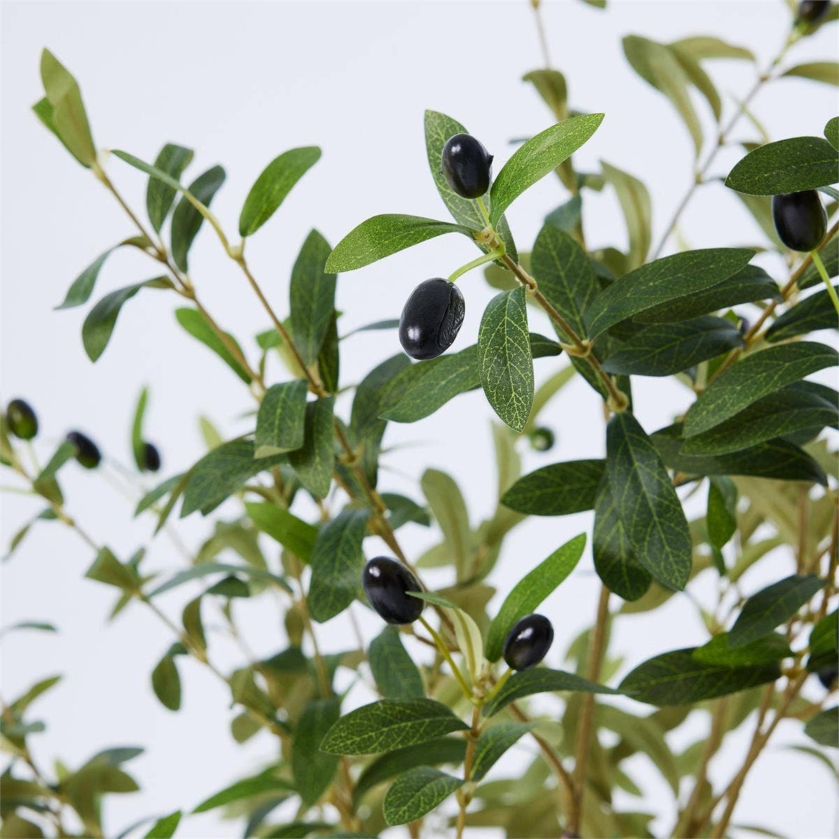 Truu Design - Wholesale Artificial Plant - Artificial Potted Olive Tree, 63"H2
