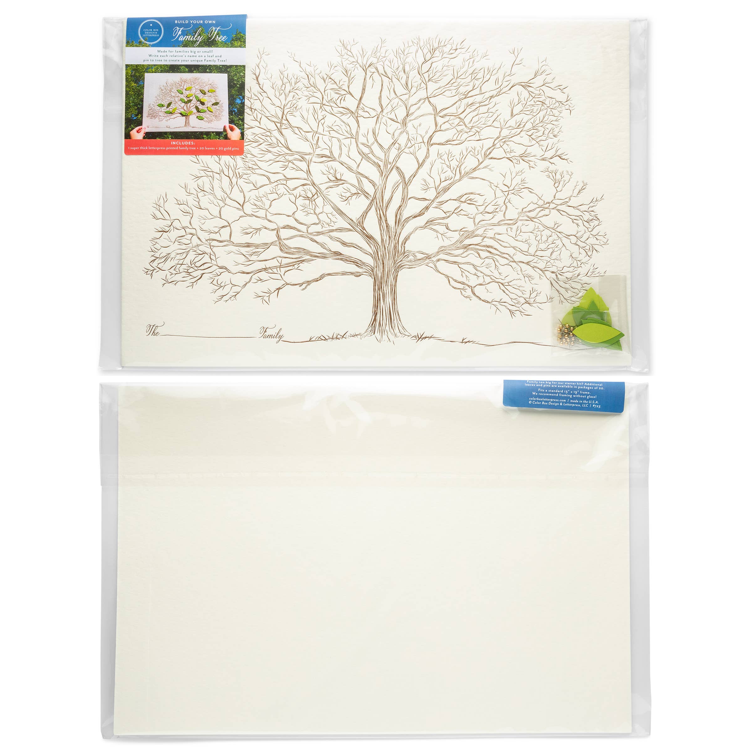 Color Box Design & Letterpress - Wholesale DIY Craft Kit - Family Tree2