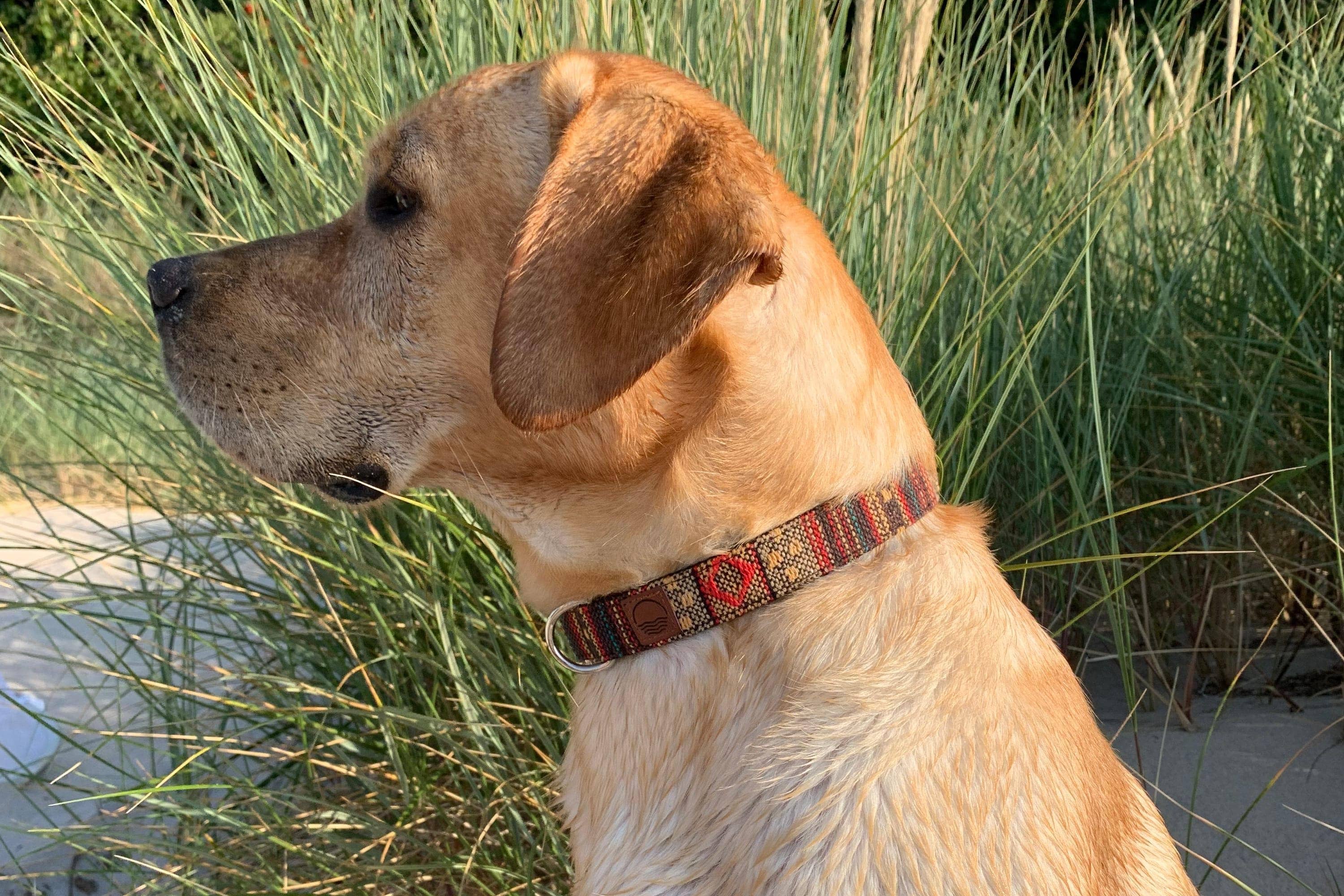 Made By Nami - Wholesale Pet Collar - Dog - Boho Dog Collar - Brown