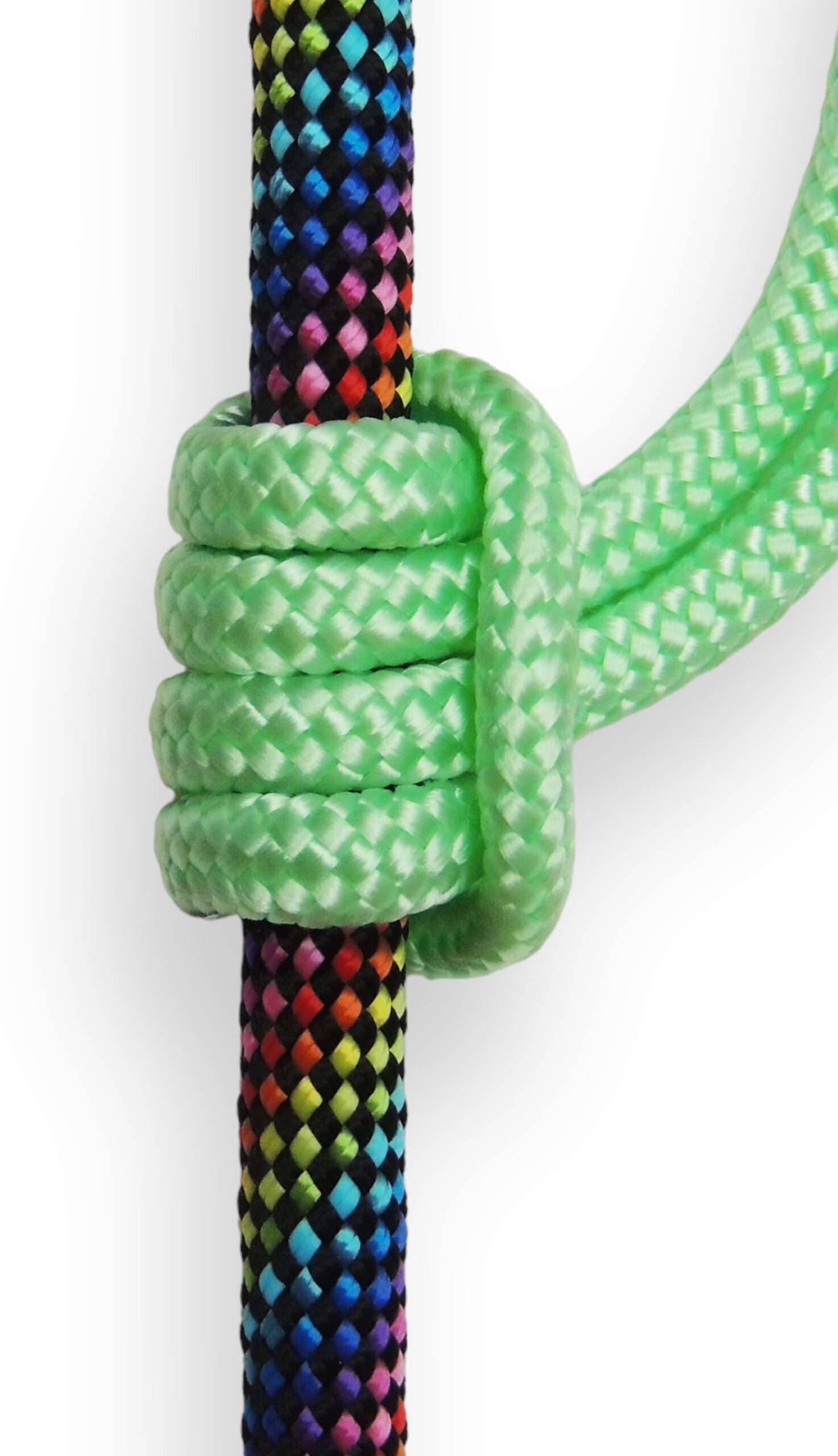 Blue Heeler – Engroshandel Hundesnor - Hund – Rainbow Of Corals - Udvidelig Hundesnor5