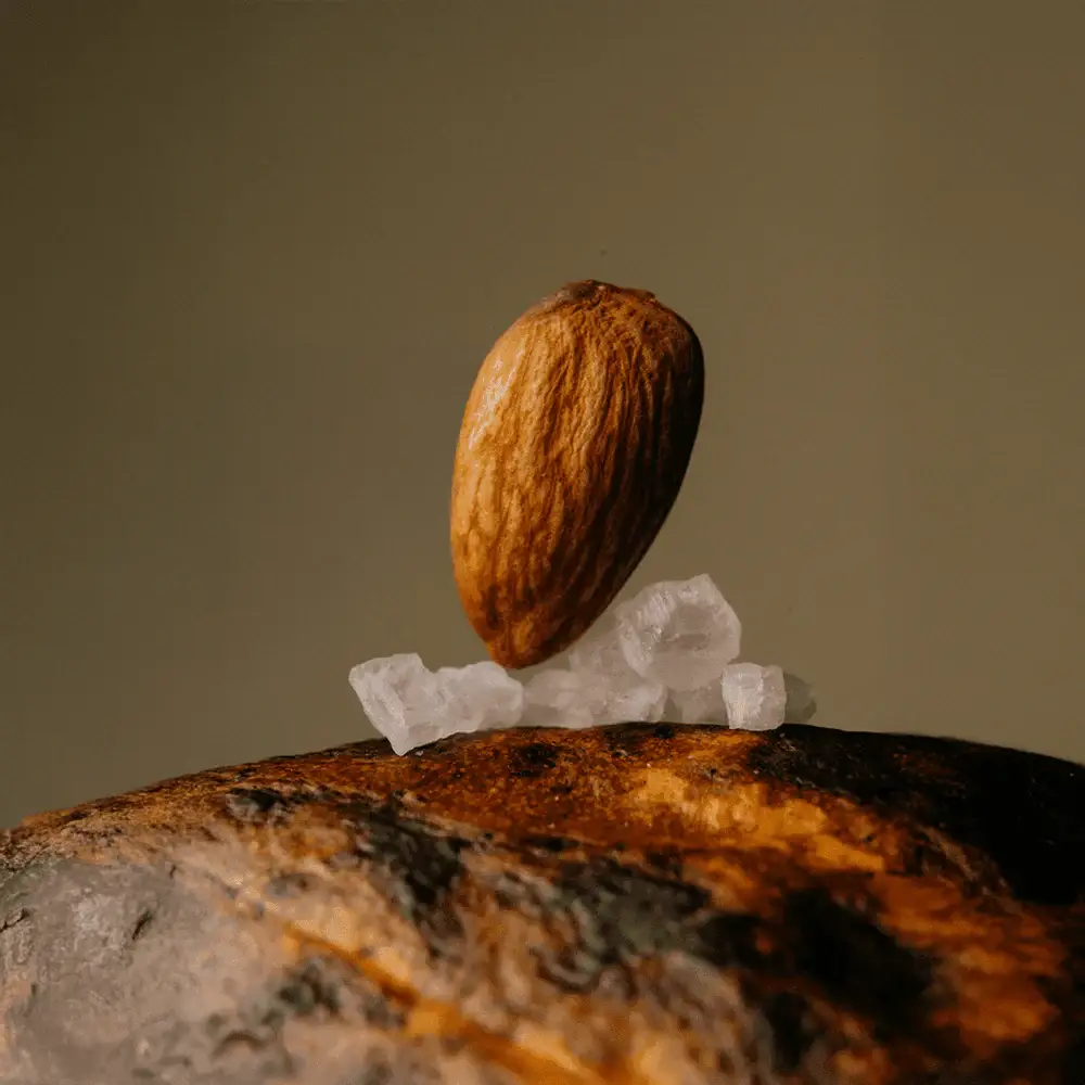 The Conscious Bar - Vente Barre chocolatée - Chocolat noir sucré aux dattes - Amandes et sel de mer1