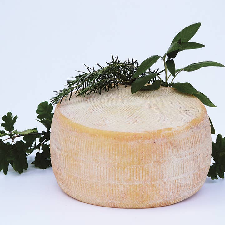 Il Mercante di Terra – Queijo por atacado – Queijo pecorino Coratino Alta Murgia