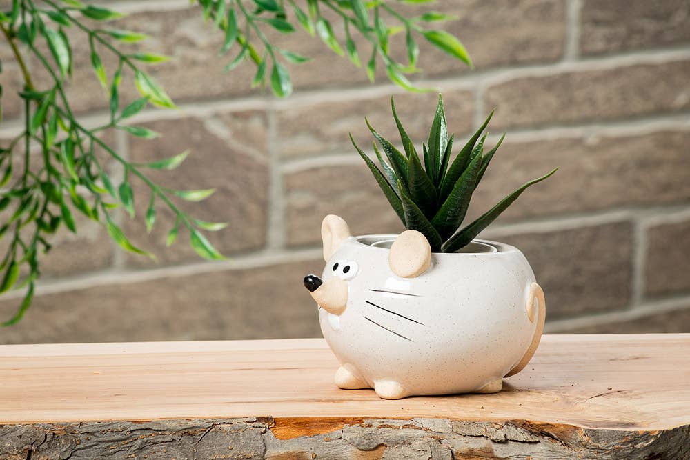 Abbott - Vendita all'ingrosso Vasi per piante - Fioriera Sm Mouse Wht-2.5H1