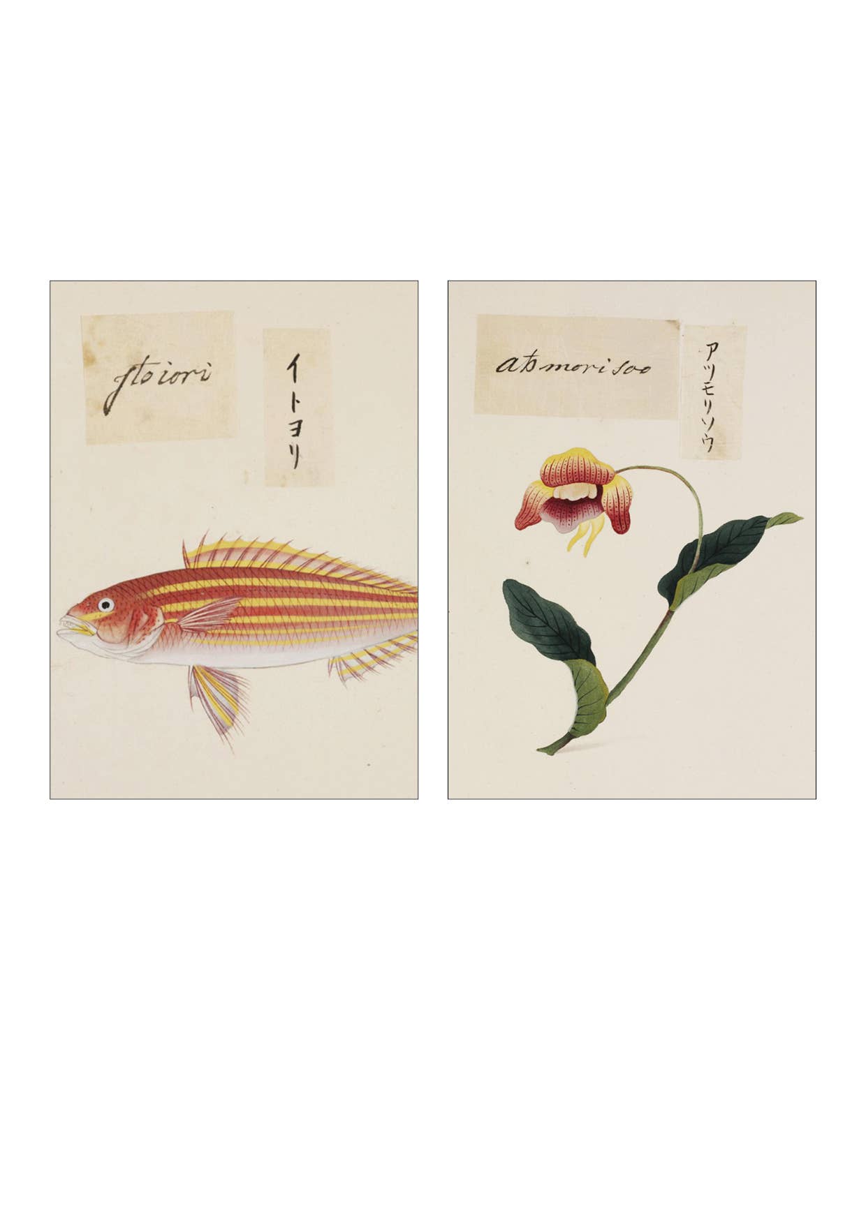 Lylies - Wholesale Wall Tile - Wall tile collage from the Naturalis Collection - The Shining2