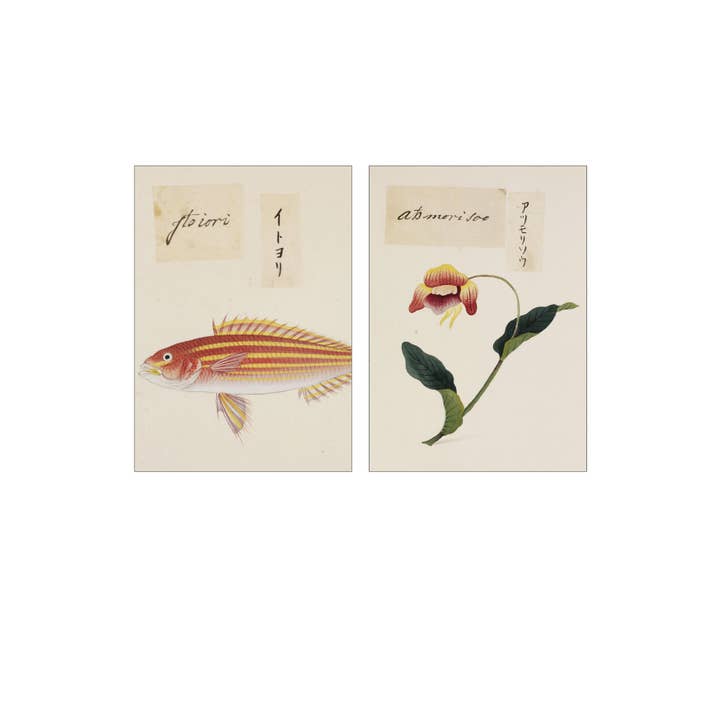 Lylies - Wholesale Wall Tile - Wall tile collage from the Naturalis Collection - The Shining2