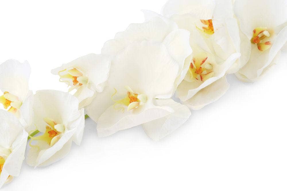 Closer2Nature – wholesale Artificial flowers – Artificial 109cm Single Stem White Phalaenopsis Orchid4