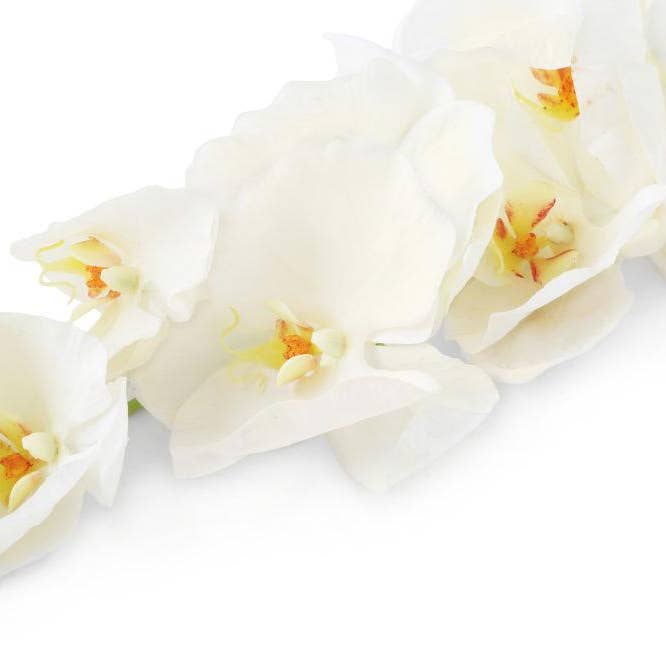 Closer2Nature – wholesale Artificial flowers – Artificial 109cm Single Stem White Phalaenopsis Orchid4