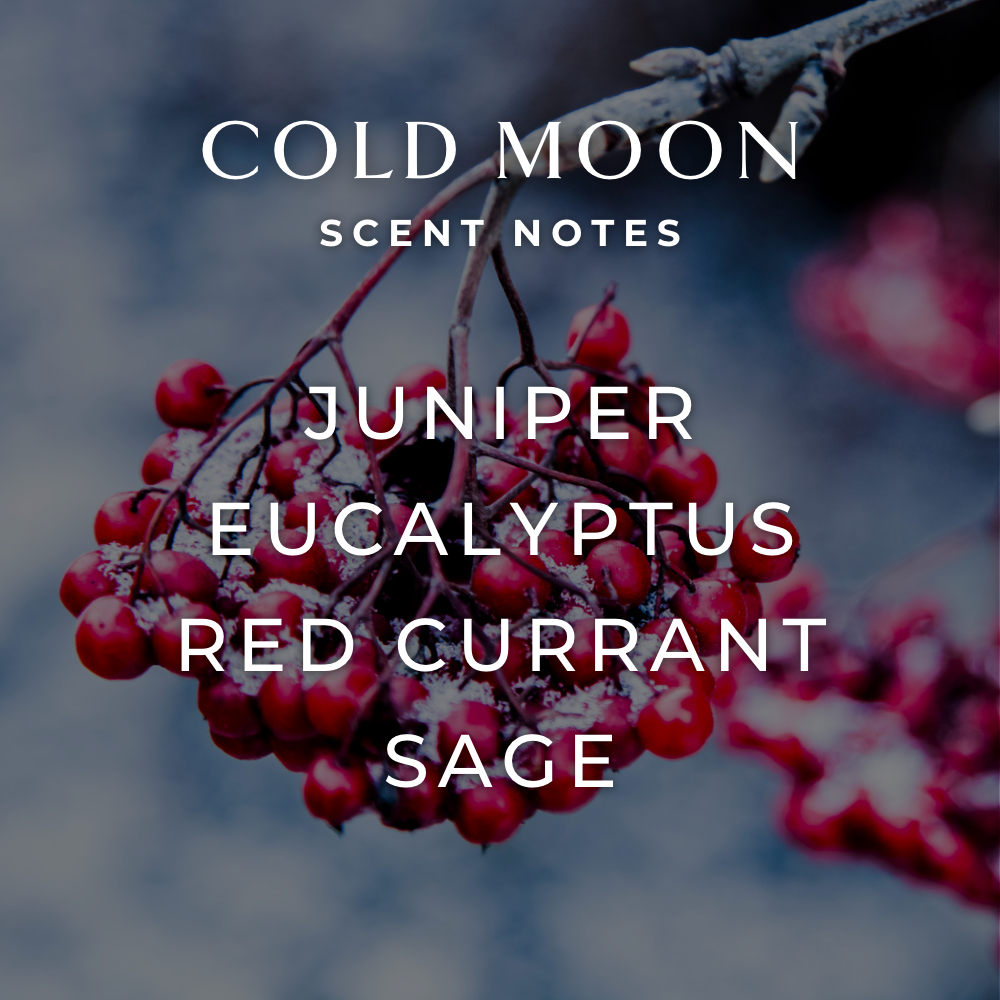 FJORD & FABLE - Vendita all'ingrosso Candela in vasetto - Candela Luna Fredda2