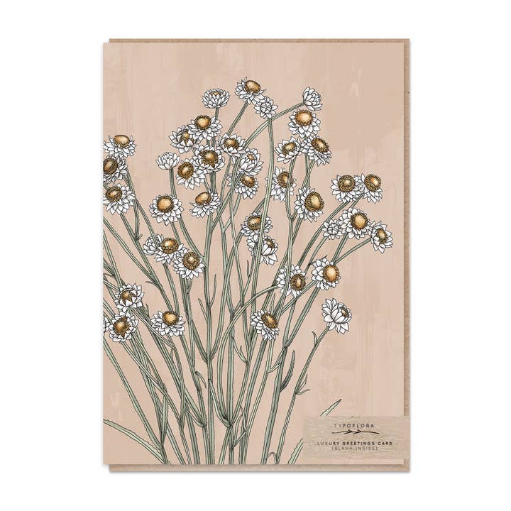 Carta Ritratto Eterna Alata per la vendita all'ingrosso da parte di Typoflora