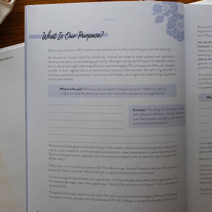 The Daily Grace Co - Wholesale Book - Adult - This is HIS Year | Faith Workbook