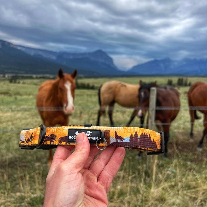 Yellowstone Alpine Dog Collar for wholesale by Rocky Mountain Dog