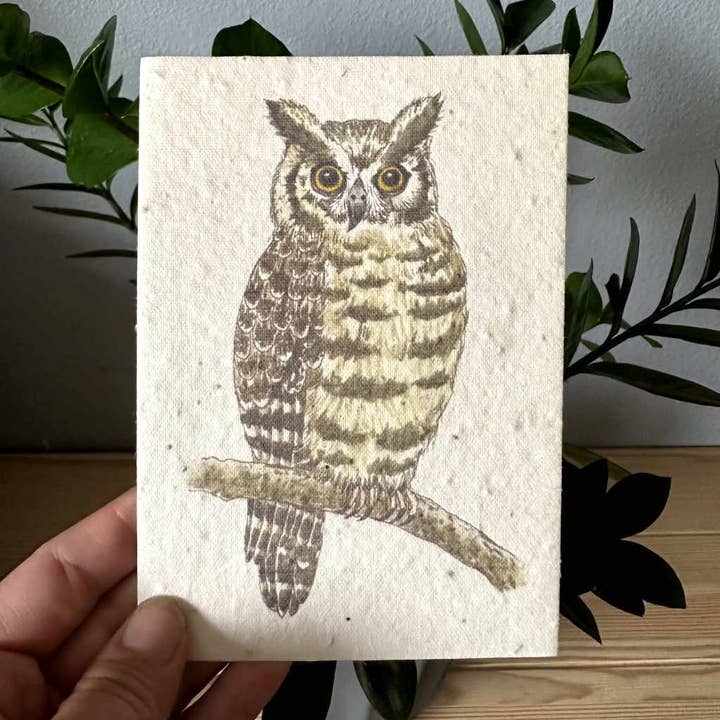 Eulen-Pflanzbare Wildblumensamen-Grußkarte (Kopie) für den Großhandel von littleoneusa