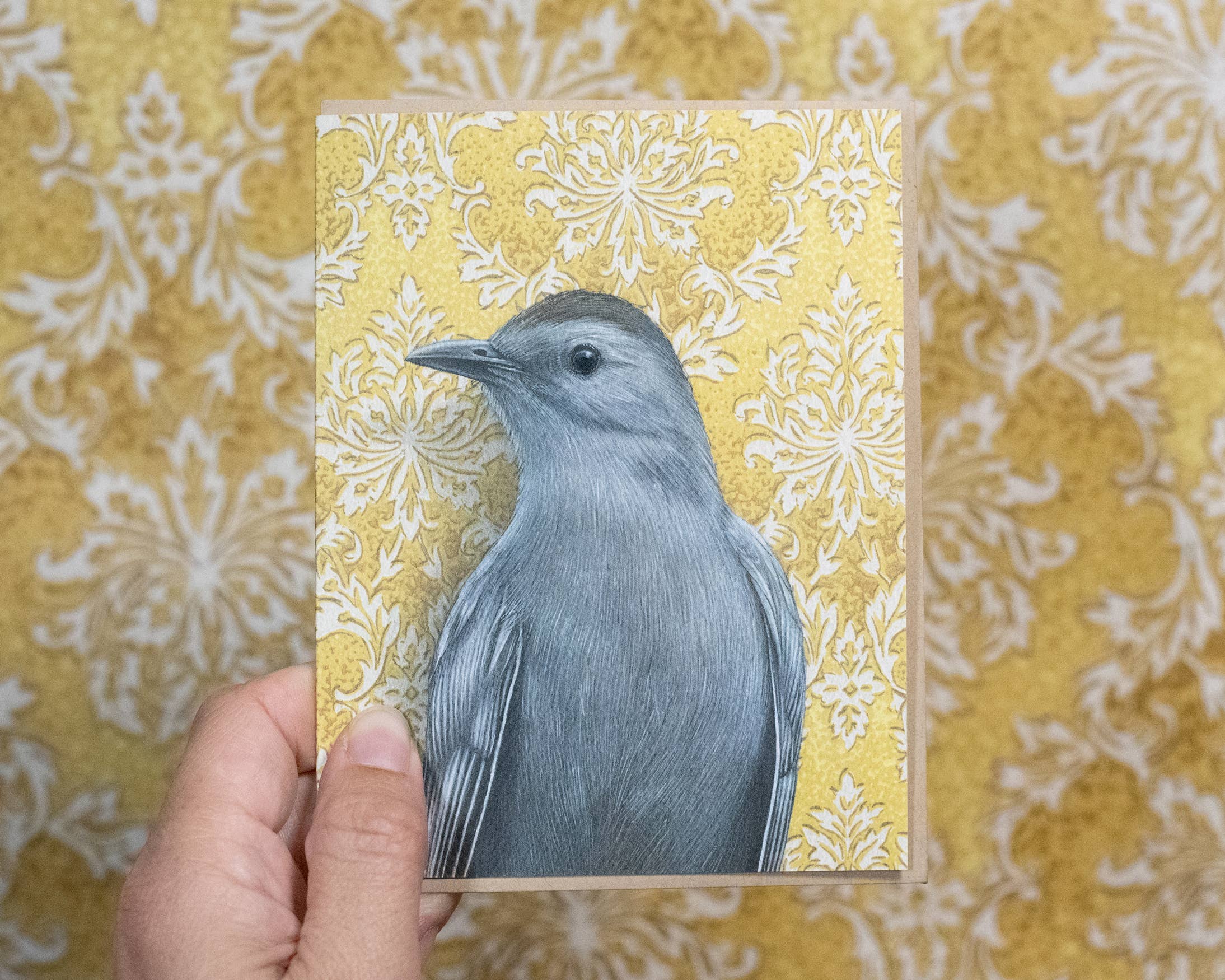 Emily Uchytil – Engroshandel Hverdagshilsen kort – Catbird - Note-kort2