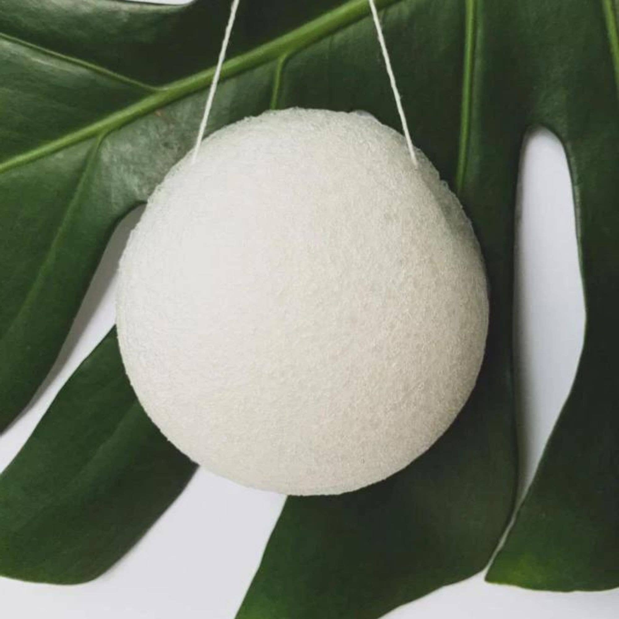 Oceansrespect 🌊🌍🌱 - Wholesale Facial cleanser - Sustainable facial Konjac sponge8