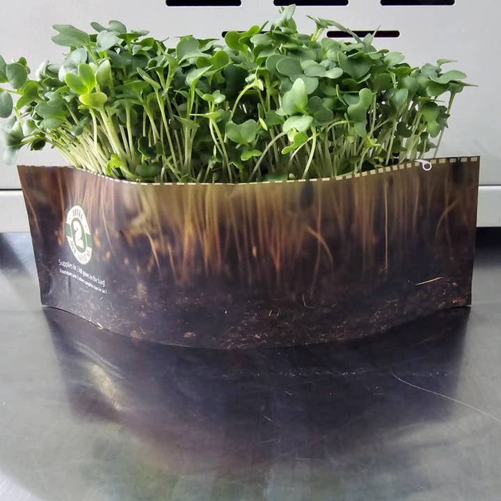 Harmony Harvest - Wholesale Plant Seeds - Radish Microgreen Grow Kit