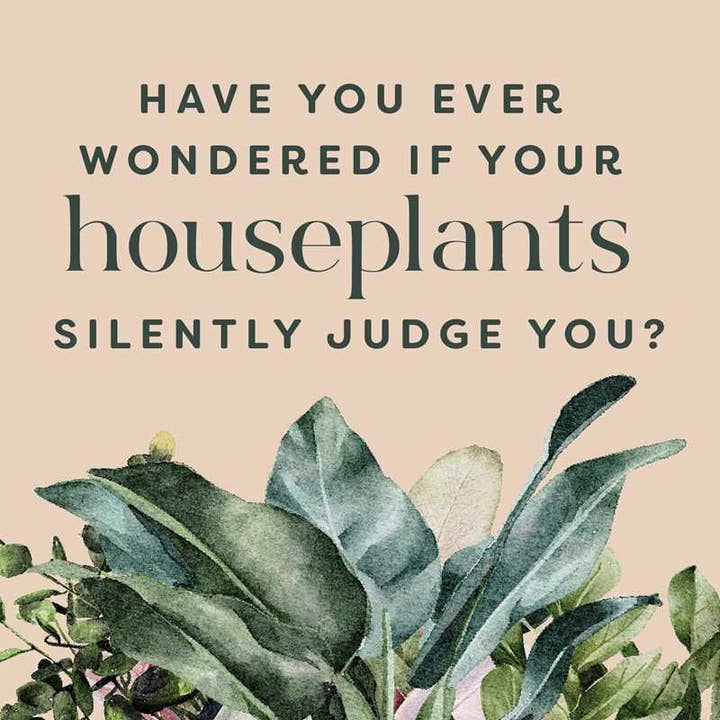 Simon & Schuster - Wholesale Humor - Houseplants and Their Fucked-Up Thoughts by Carlyle Christoff1