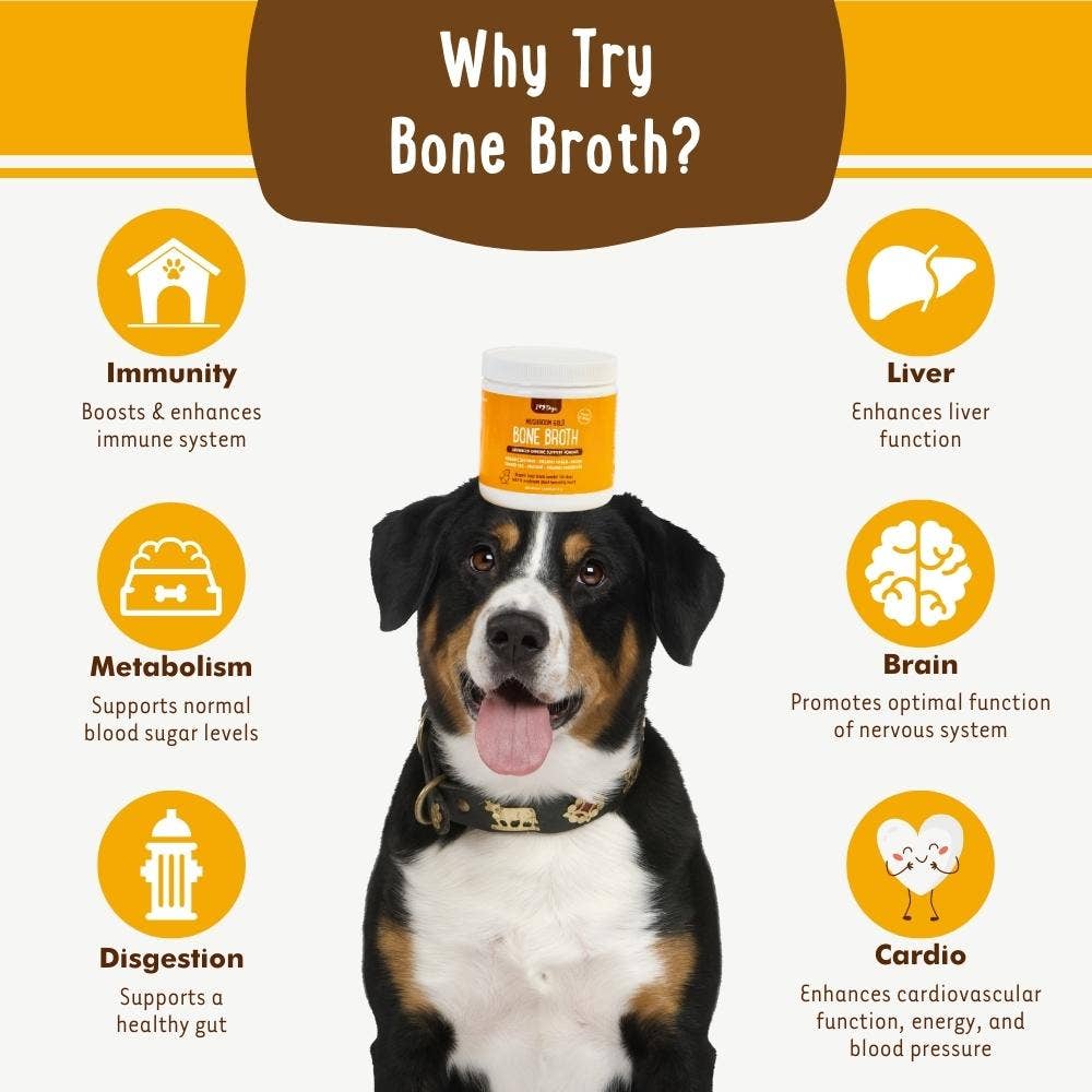 iHeartDogs.com – Großhandel Nahrungsergänzungsmittel für Haustiere – Hund – iHeartDogs Pilz-Knochenbrühe für Hunde - Immunstärkendes Pulver - 90 Portionen8