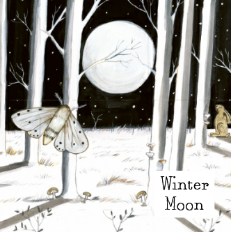 Heaven Scent Incense Ltd – Engroshandel Fyrfadslys – Vinter/efterårskollektion 2 - Æske med 9 duftende fyrfadslys1