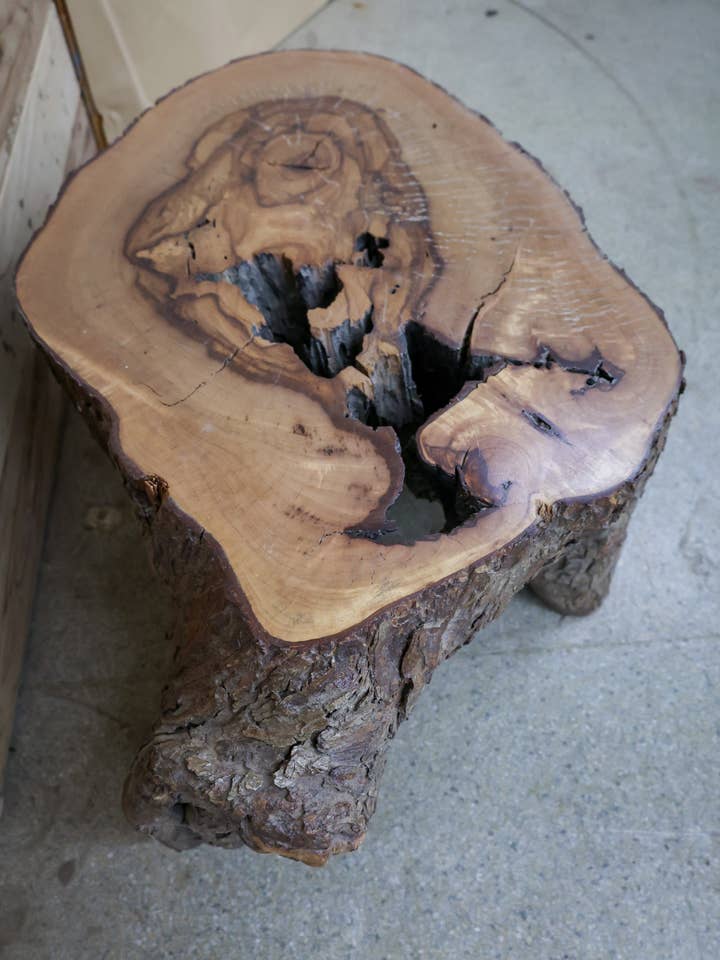 Turtle Floor Décor - #56 for wholesale by Tin Roof Kitchen & Home