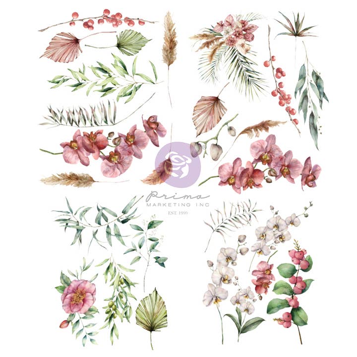 Sharon Ziv Transfers Orchidea 4 feuilles, 8,5 « x 11" pour la vente par Prima Marketing Inc