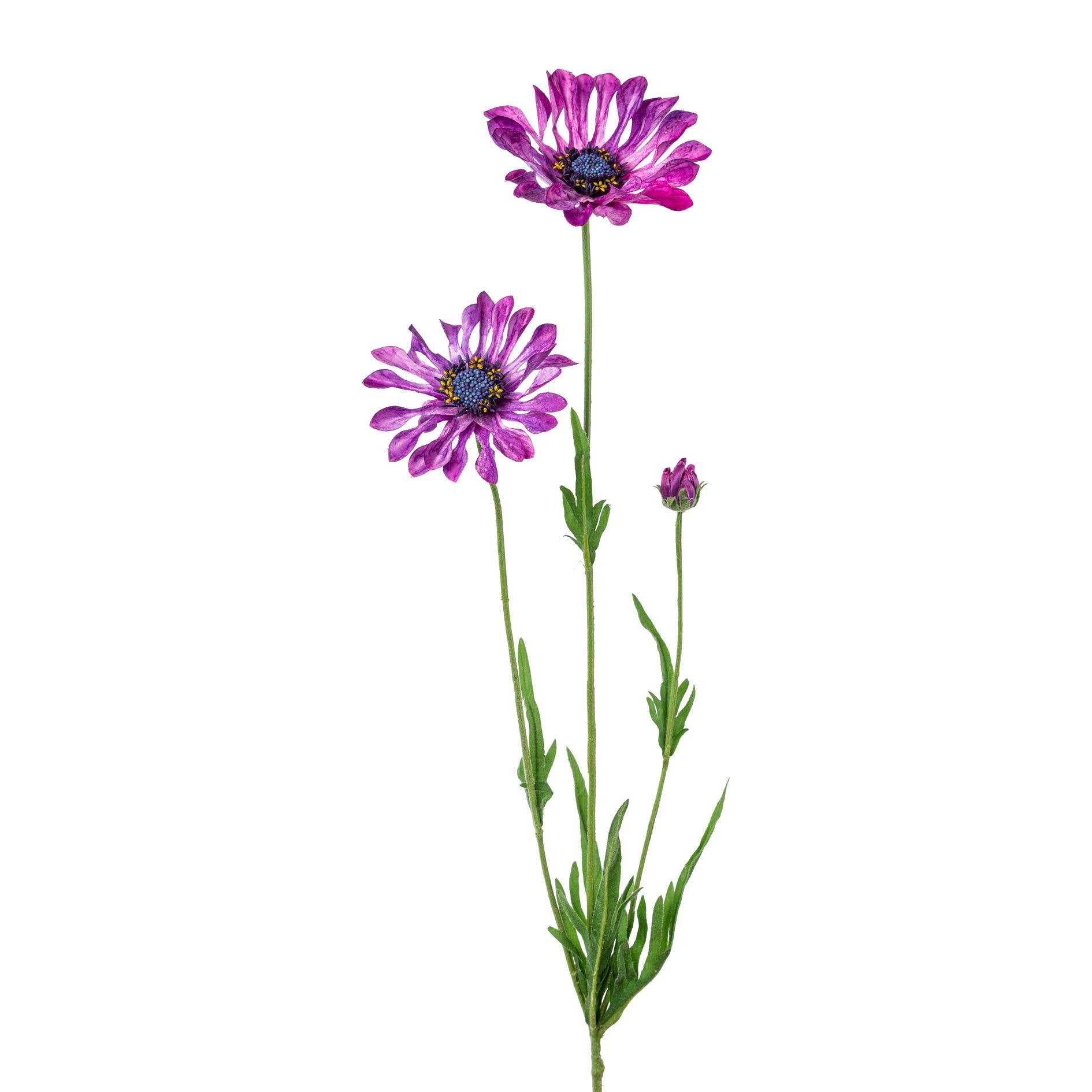GASPER GmbH – wholesale Konstgjorda blommor – Cape daisy, 66cm, lila0