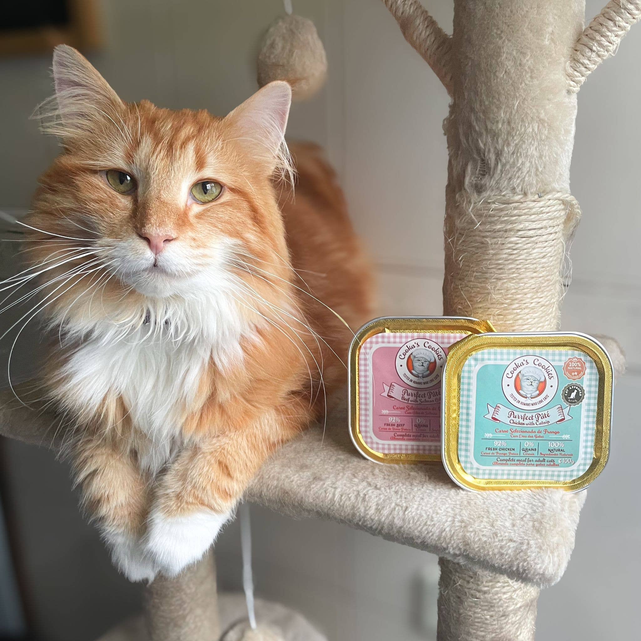 Cooka's Cookies - Vendita all'ingrosso Cibo - Gatti - PATÉ DI POLLO 3