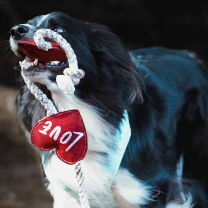 Aurora Paws – wholesale Pet rope toy – Dog – Heart shaped Eco Dog Toy (Heart strings)6