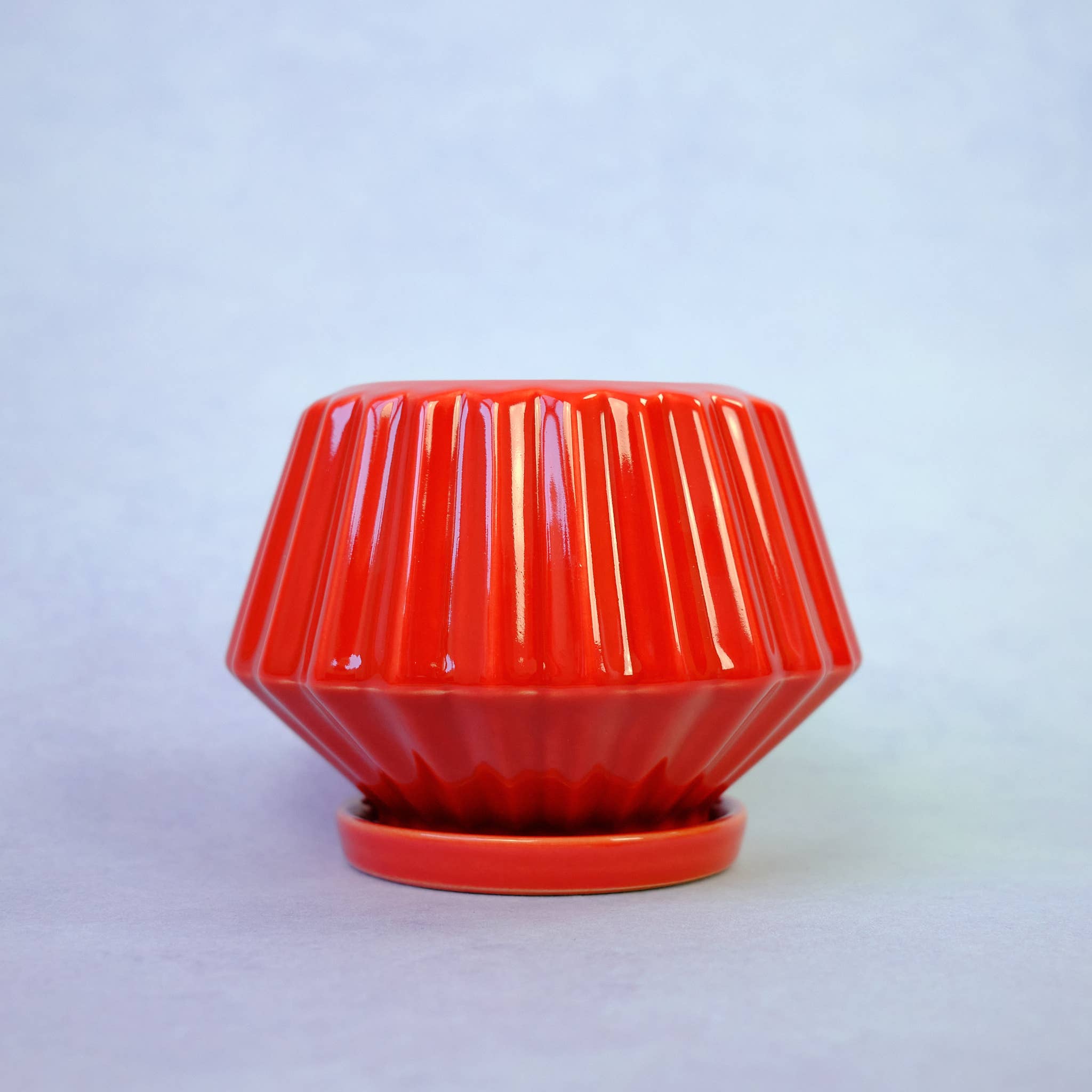 The Green Vibe - Wholesale Plant Pot - Ruby-red pot with saucer2