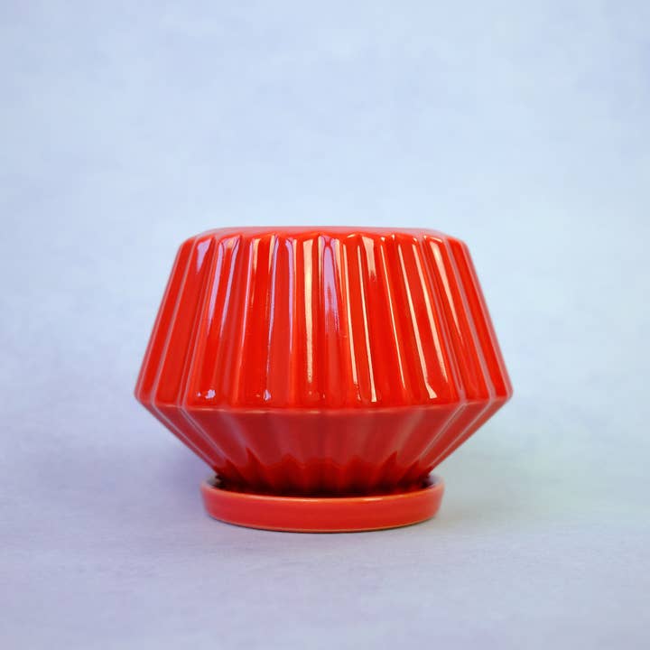 The Green Vibe - Wholesale Plant Pot - Ruby-red pot with saucer2