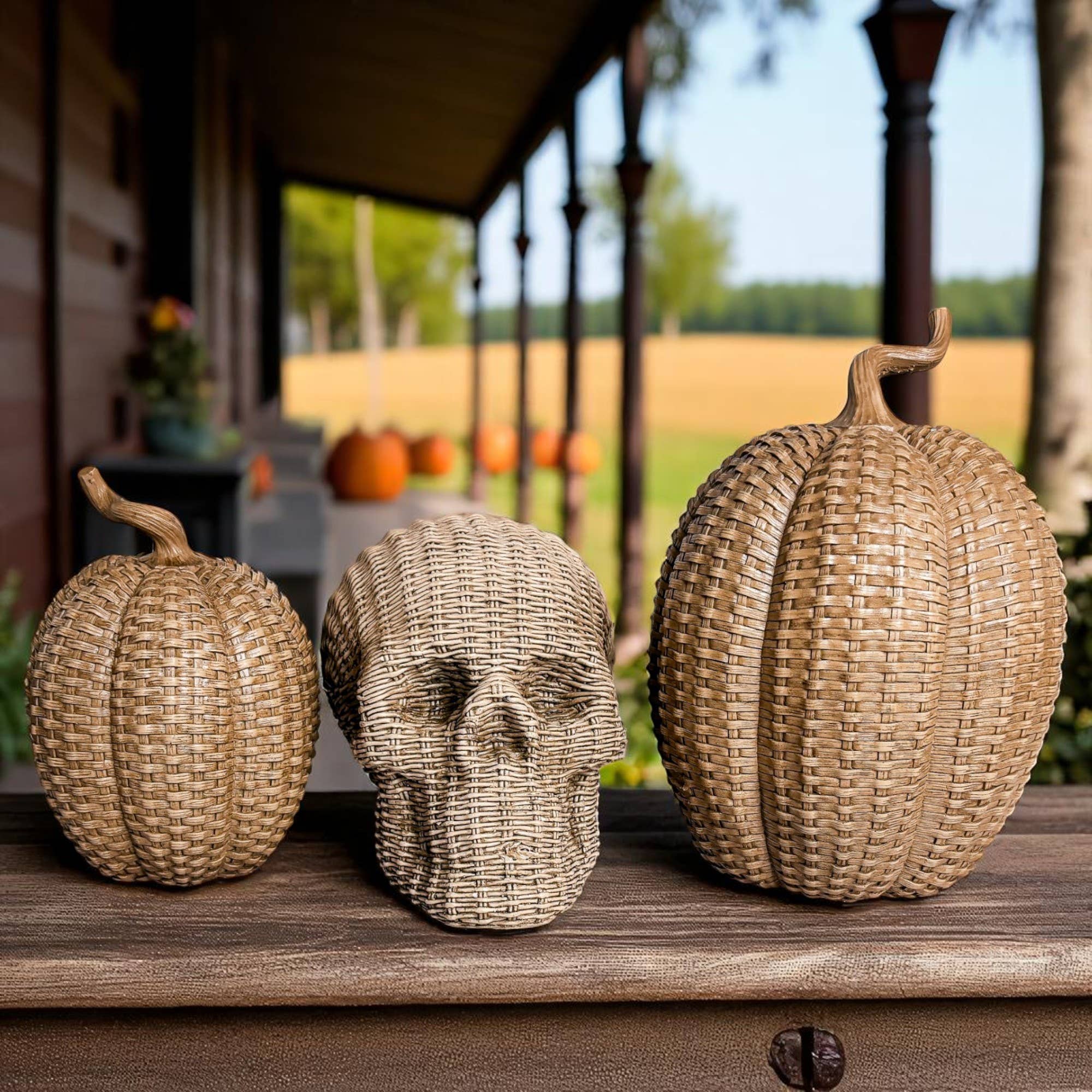 Gia Roma - Wholesale Decorative Figurine - Resin Skull Statue Rattan Halloween Gothic Home Decor Unique6
