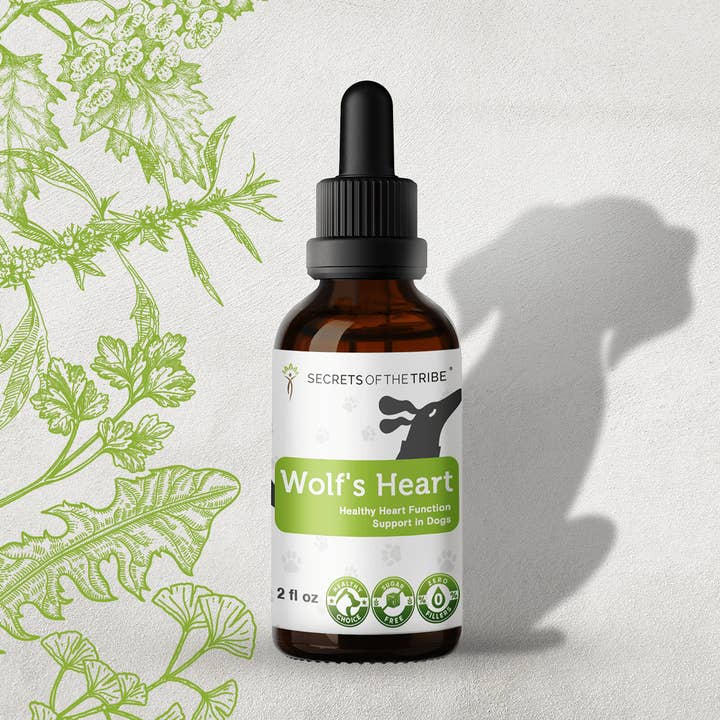 Corazón de lobo. Apoyo a la función cardíaca saludable en perros para venta al por mayor de Secrets Of The Tribe