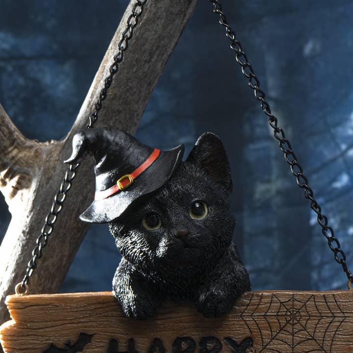 Black Kitten with Board for wholesale by Pacific Trading