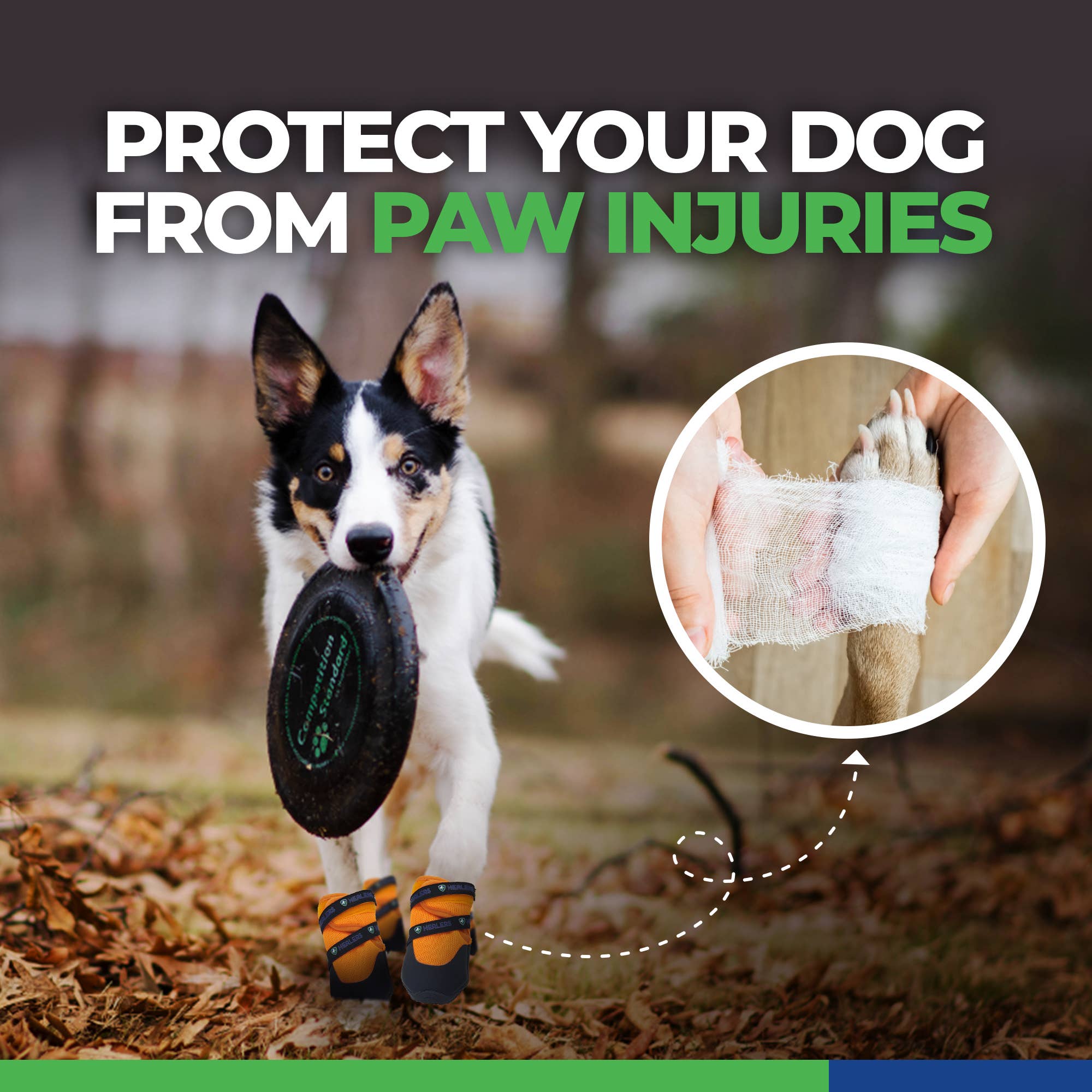 Healers PetCare – wholesale Pet paw protection – URBAN WALKERS III- TEAL11