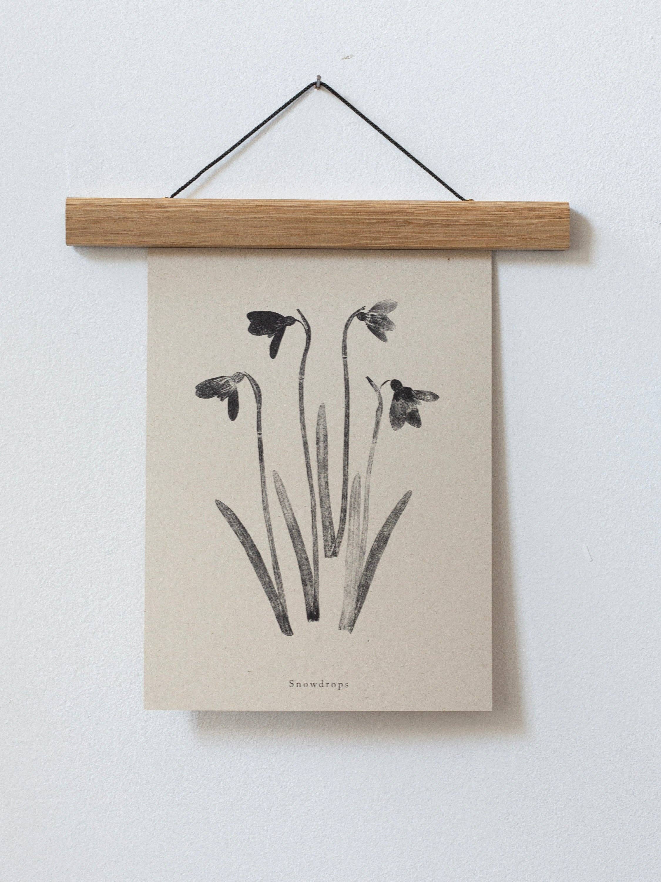 Alicia Breakspear - Wholesale Art Print - Botanical Art Print A5 A4 A3 Snowdrops Flower 4