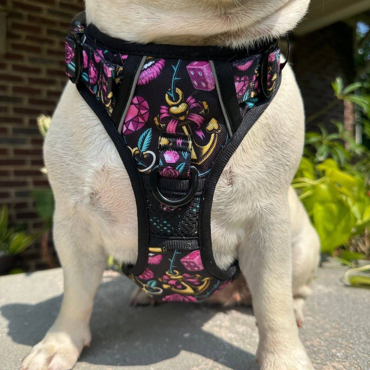 Beast & Buckle - Wholesale Pet Harness - Dog - Girly Tattoo No Pull Dog Harness3