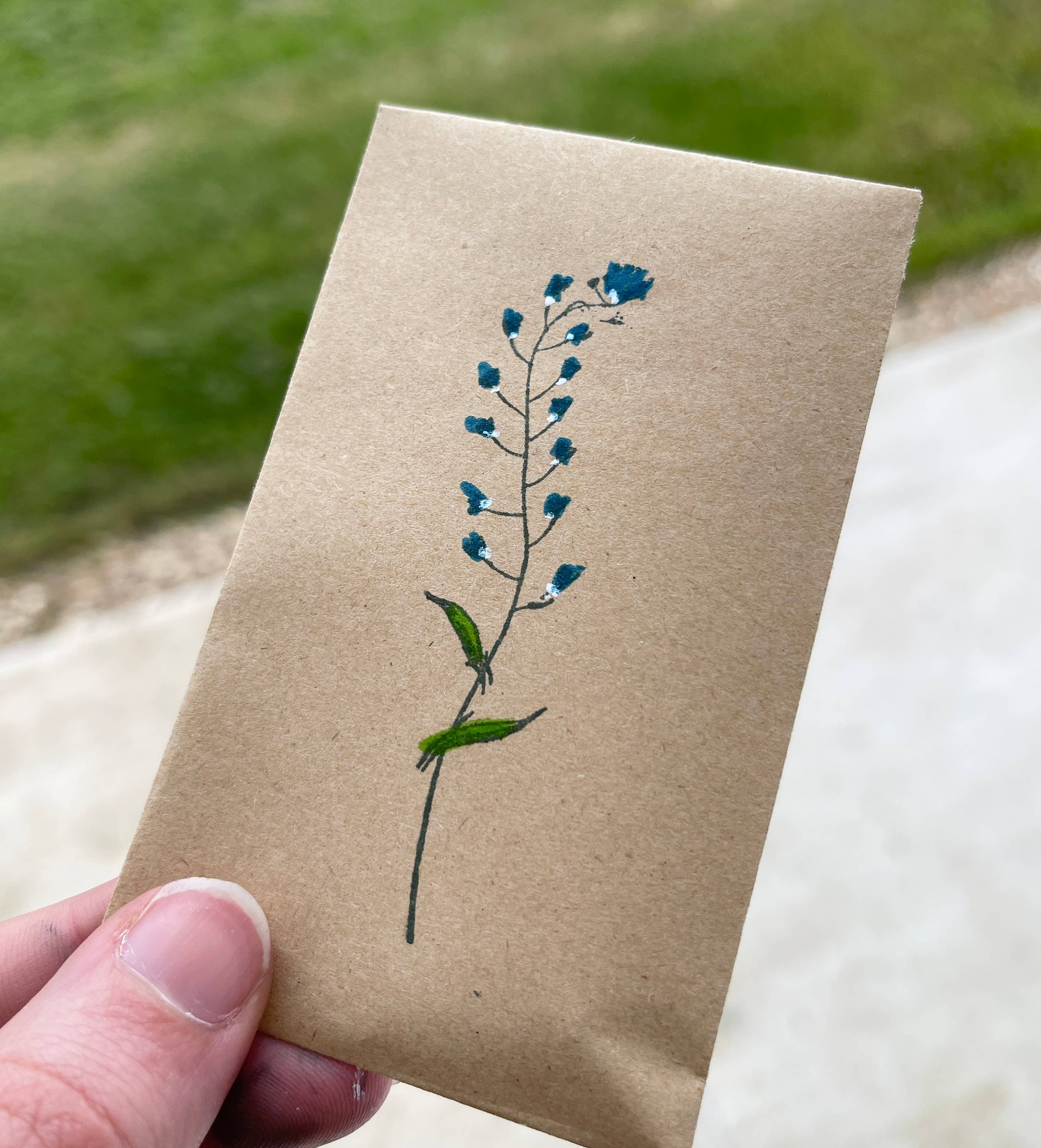 The Eco News Ltd - Wholesale Plant Seeds - Wildflower Seeds - Forget Me Not Pattern - Seed Packets1