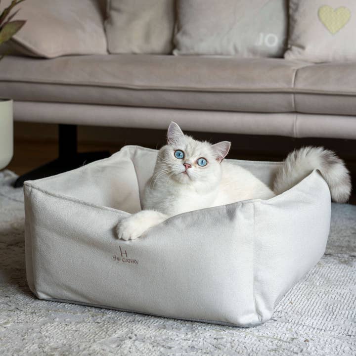 The Catery - Wholesale Pet Bed - Cat - Loft cat bed cream