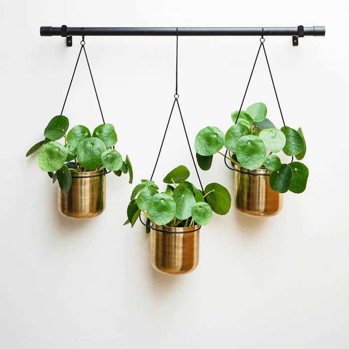 Linear Hanging Planter Set for wholesale by Ivyline