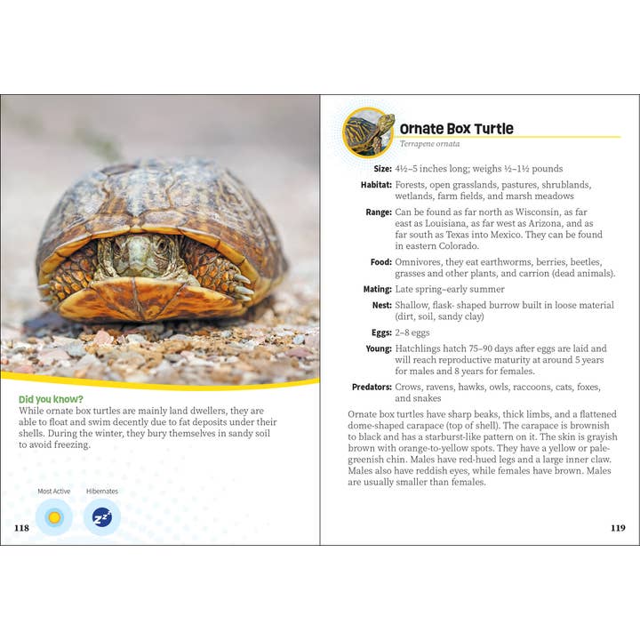 AdventureKEEN - Wholesale Book - Kids - Critters of Colorado Pocket Guide