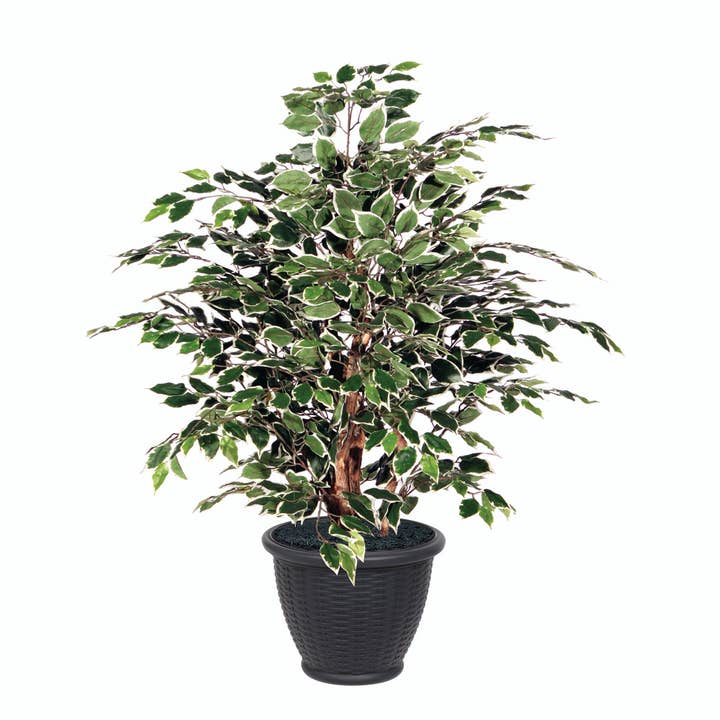 Vickerman 4' Variegated Extra Full in Gray Pot for wholesale by Vickerman