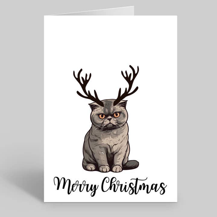 Set of 10 Scottish Fold Christmas Cards - Envelopes Included for wholesale by We Are Positive Prints