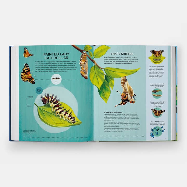Phaidon - Wholesale Nature & Outdoors - Nature's Tiny Champions: The Big Book of Little Creatures3