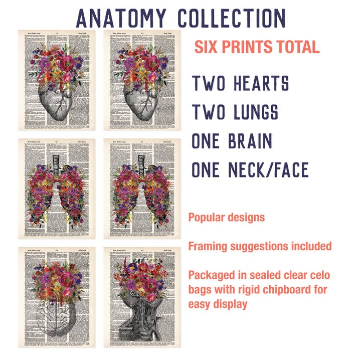 Impressões de dicionários com tema por atacado de Blue Twist & Co