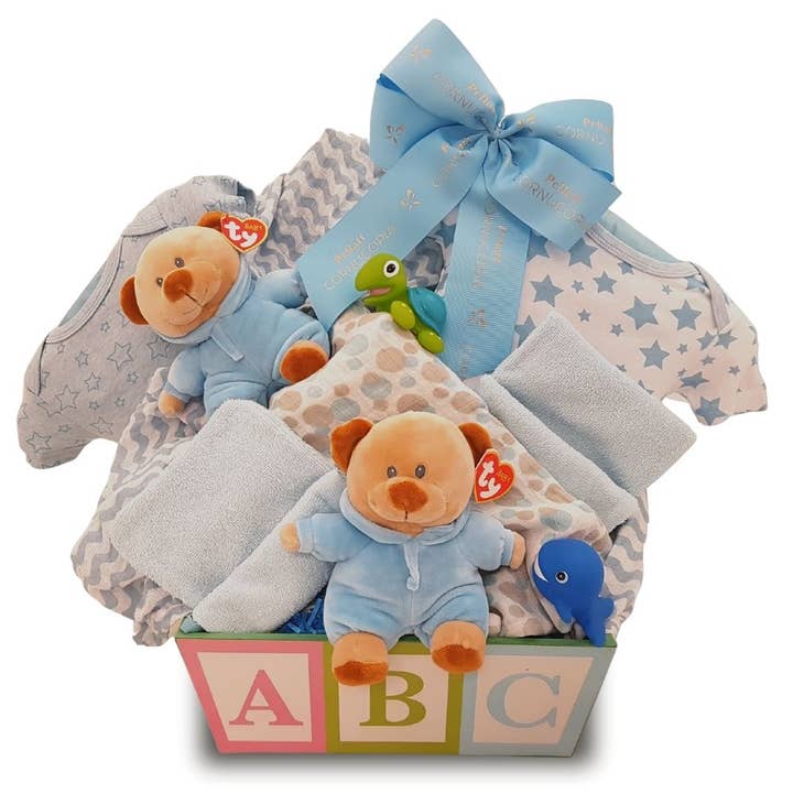 Double the Fun Twin Boys Gift Basket for wholesale by Pellatt Cornucopia Gift Baskets
