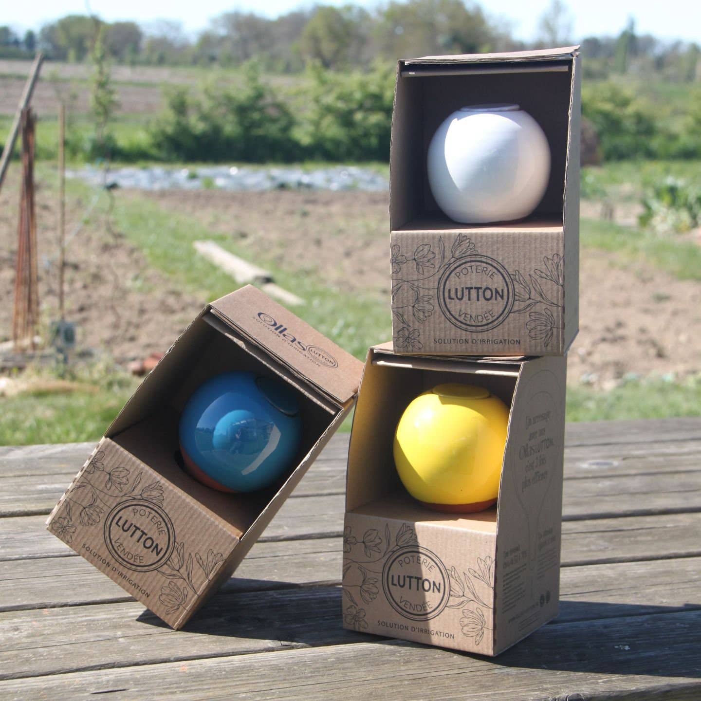 Poterie lutton - Wholesale Plant Pot - Ollas to plant medium11