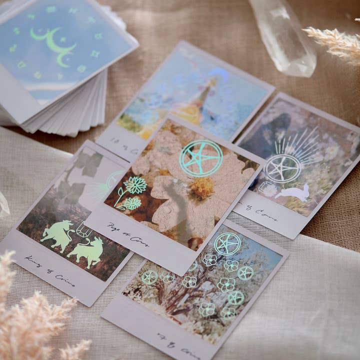 REMOVED BRAND - Wholesale Tarot Cards - Wild Lands Tarot10